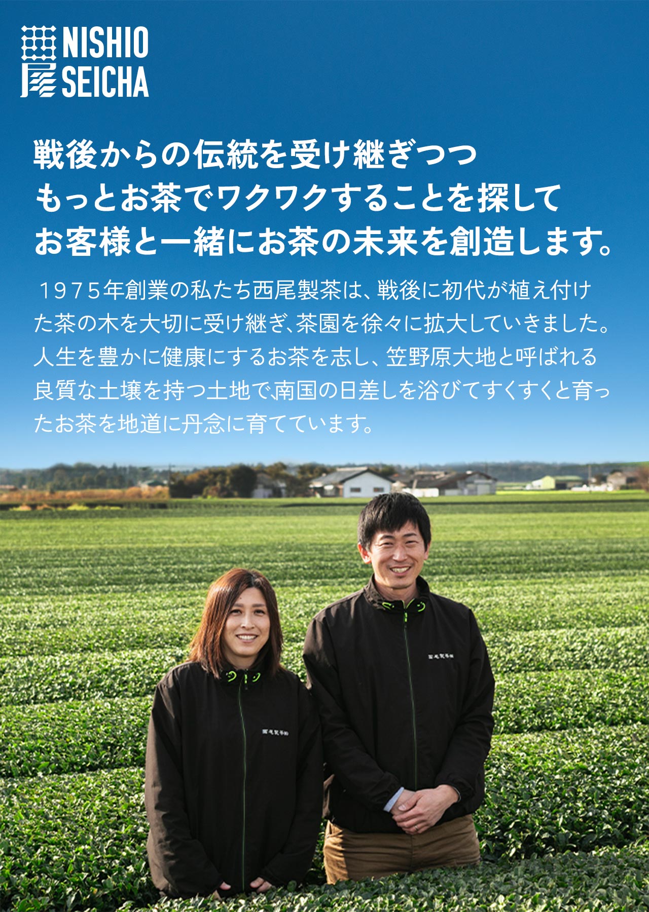 鹿児島県産 粉末 ほうじ茶 農薬不使用 300g （100g × 3袋）【国産 鹿児島県産 ほうじ茶 農薬不使用 粉末タイプ ほうじ茶ラテ 簡易包装 メール便】