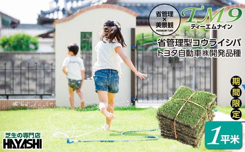 TM9（ティーエムナイン）省管理型コウライシバ トヨタ自動車(株)開発品種 1平米　KN080-007-01