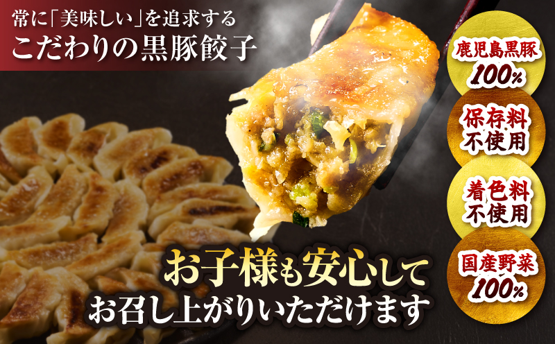 1289-1 鹿児島黒豚 餃子 1.6kg＜96個＞ 豚肉 黒豚 おかず 小分け アレンジ 贈答 鹿児島 鹿屋 こだわり　KN054-004
