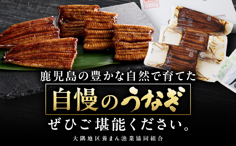 4002 鹿å
å³¶ç倧é
ç£ãã«ãããããªãè²çŒ7æ520gãKN007-001-03