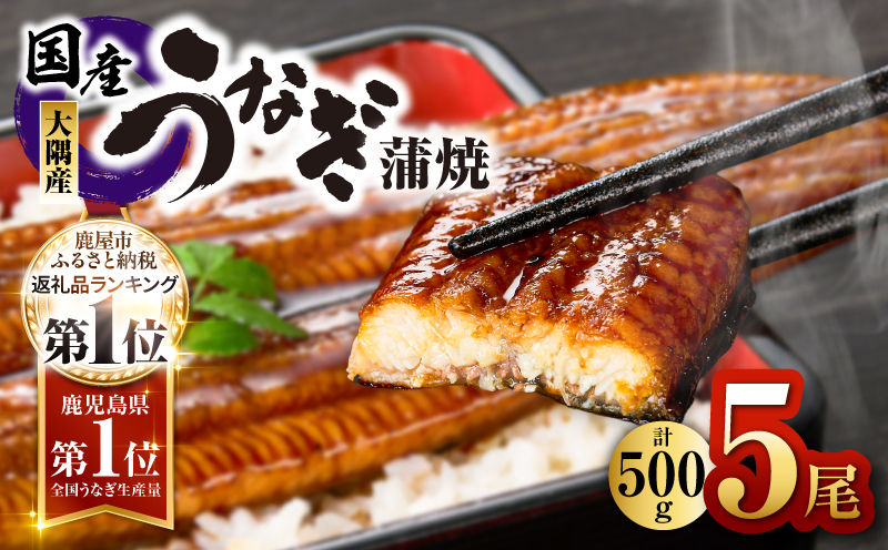 4001 鹿児島県大隅産うなぎ蒲焼5尾（500g）　KN007-005-03