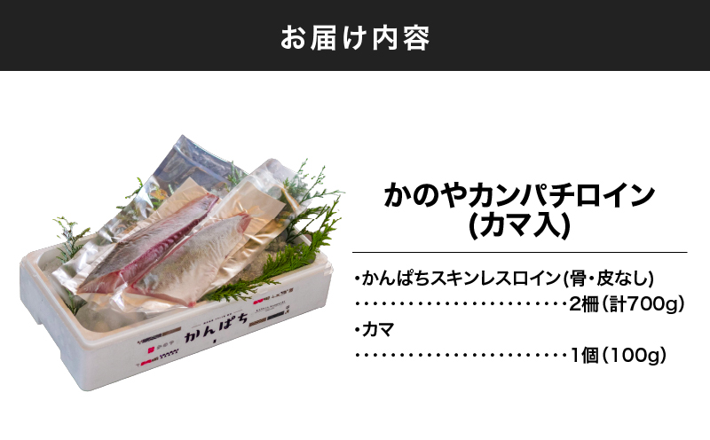 174-1 かのやカンパチロイン（カマ入）　KN001-001