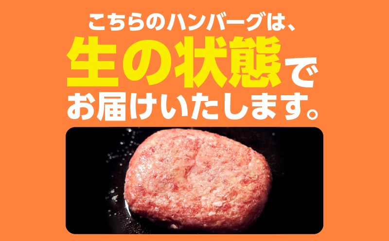 2894 【ナカヤマさんちのお肉】手ごねハンバーグ 計3.0kg（150g×20個）　KN050-002-04【株式会社nixy 中山亭 鹿屋店】