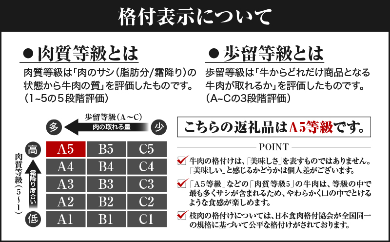 506-1 鹿å
å³¶çç£é»æ¯åçã·ã£ããŒããªã¢ã³4ã5æå
¥ïŒçŽ560gïŒãKN019-008