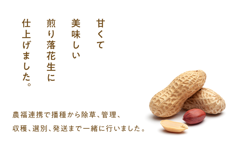 2810 むき身煎り落花生 600g（150g×4袋）　KN070-002-02