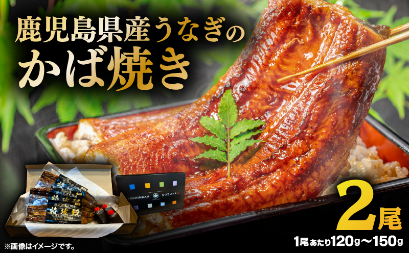 鹿児島県産うなぎのかば焼き 2尾　KN174-001-02