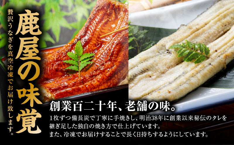 倧é
ç£ããªãã®ãã°çŒã 1å°Ÿã»çœçŒã 1å°ŸãKN174-003