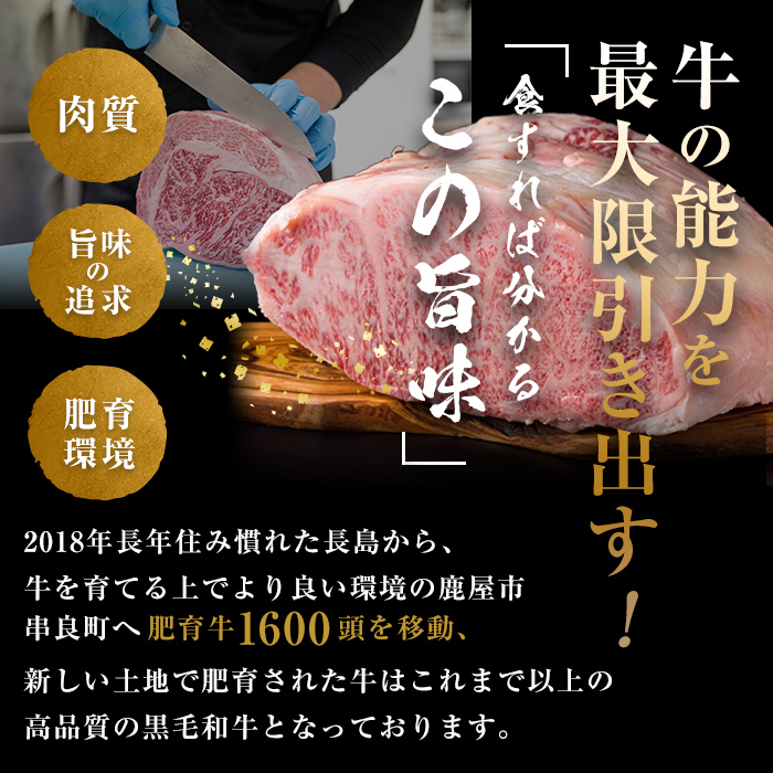 【ナカヤマさんちのお肉】うしの中山 赤身ステーキ 約500g（約250g×2枚）