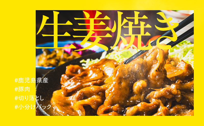 ＜訳あり＞鹿児島県産豚肉切り落とし 5kg（500g×10パック）　KN179-001-05