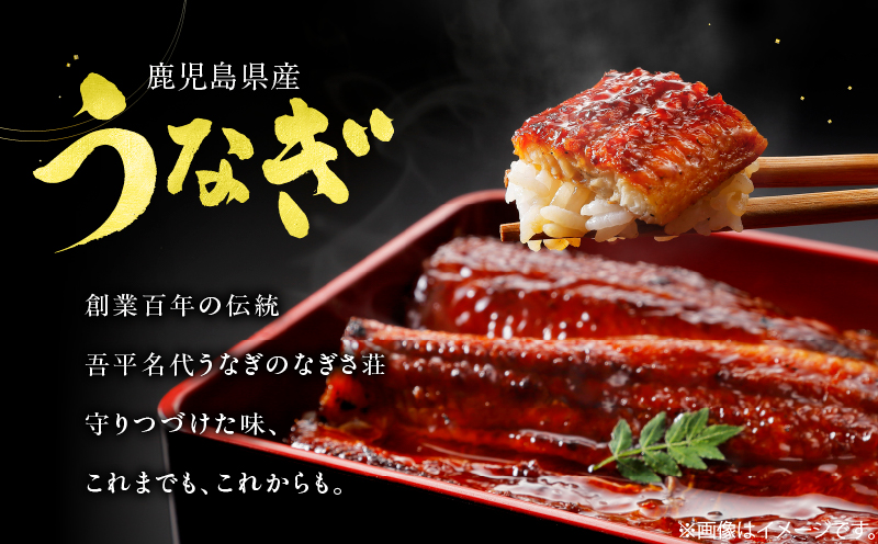 鹿å
å³¶çç£ããªã 2å°ŸãKN180-002