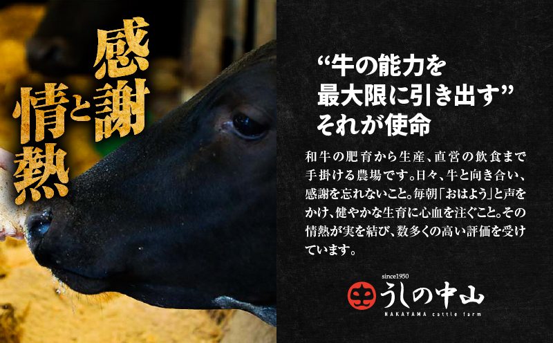 2546 ãèš³ããã»æ°ééå®ã鹿å
å³¶çç£ ããã®äžå±± 黿¯åçã¿ã¬æŒ¬ãçŒè 400gïŒ200gÃ2è¢ïŒãKN050-028