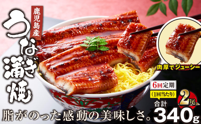 2323-1 【全6回定期便】鹿児島産うなぎ 合計340g（170g×2尾） 清らかな地下水育ち！　KN021-T19