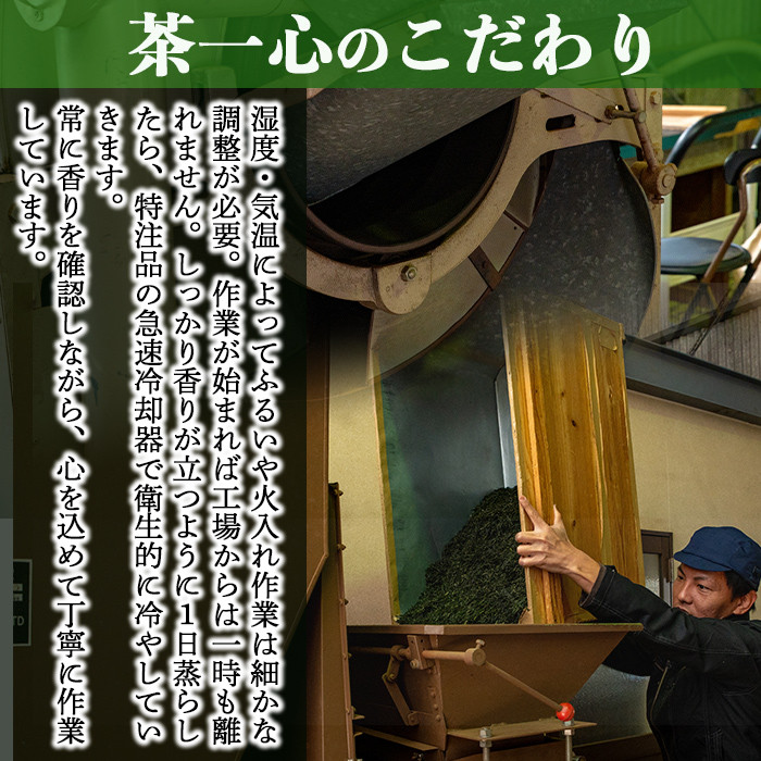 【3回定期便】鹿屋 深蒸し ブレンド茶 セット 100g×3本×3回 3ヶ月ごと計３回お届け 計900g【国産 お茶 さえみどり やぶきた ゆたかみどり 鹿児島県産 一番茶 茶 常温 定期】