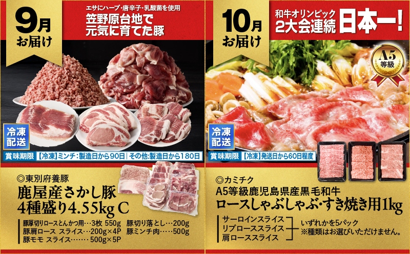 縲仙ィ12蝗槭鷹ケソ螻九き繝ウ繝代メ繝ュ繧ヲ萓ソ縲KN000-T08