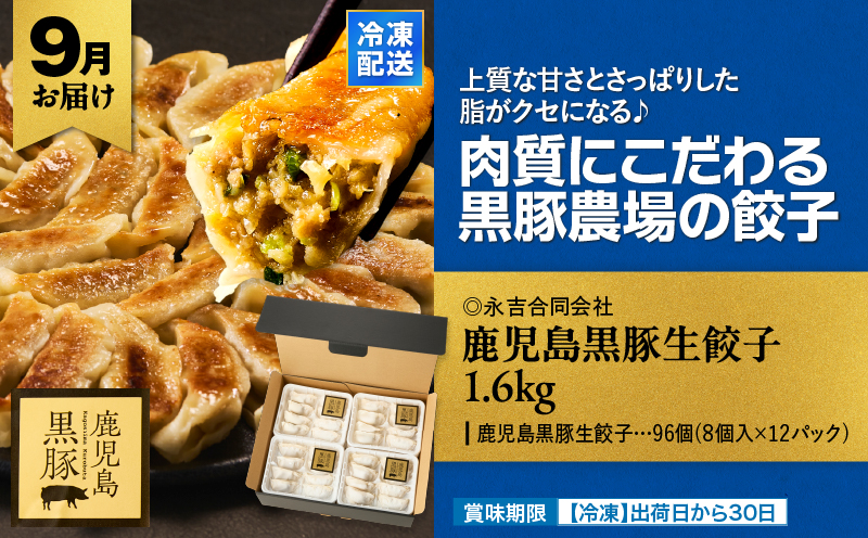 縲仙ィ6蝗槭鷹ケソ螻九き繝ウ繧ッ繝ュ繧ヲ萓ソ縲KN000-T09