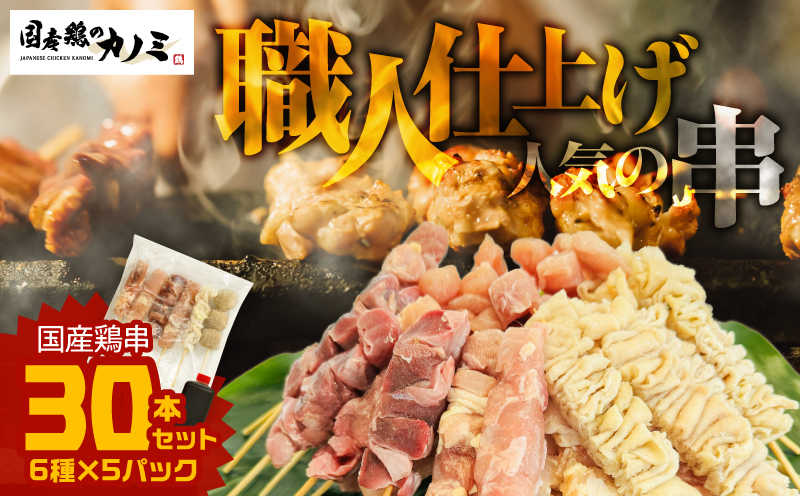 国産 鶏串 30本セット（6種×5パック）　KN077-004-01