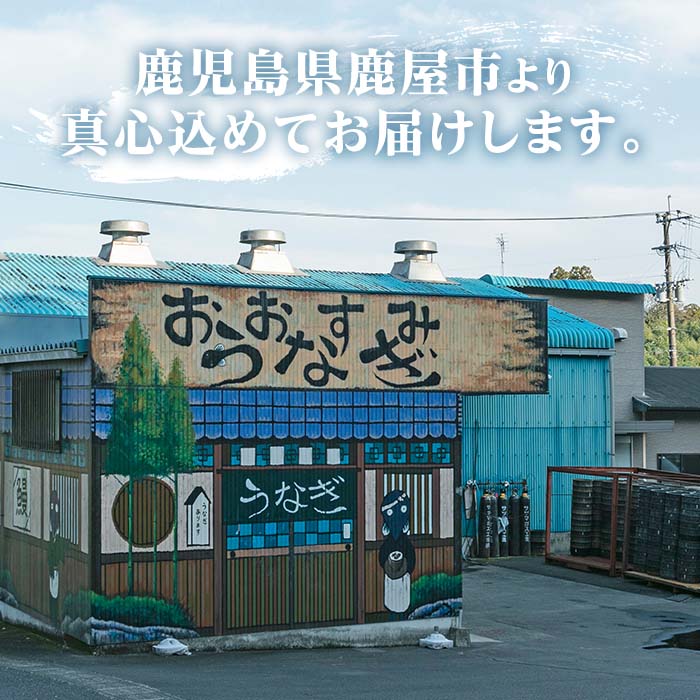 【特大】備長炭手焼 『鯉家匠うなぎ』の蒲焼３尾セット計660g