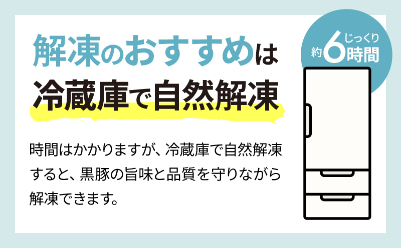 鹿児島県産黒豚生ハンバーグ 800g（80g×10個）　KN054-013