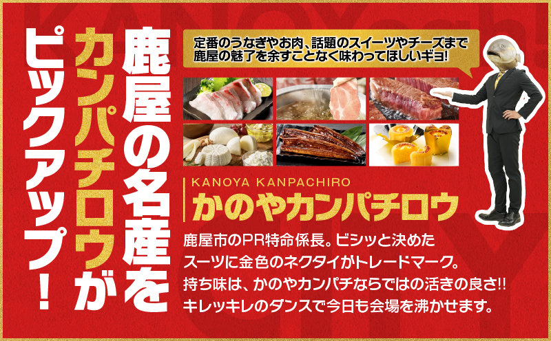 縲仙ィ12蝗槭鷹ケソ螻九き繝ウ繝代メ繝ュ繧ヲ萓ソ縲KN000-T08