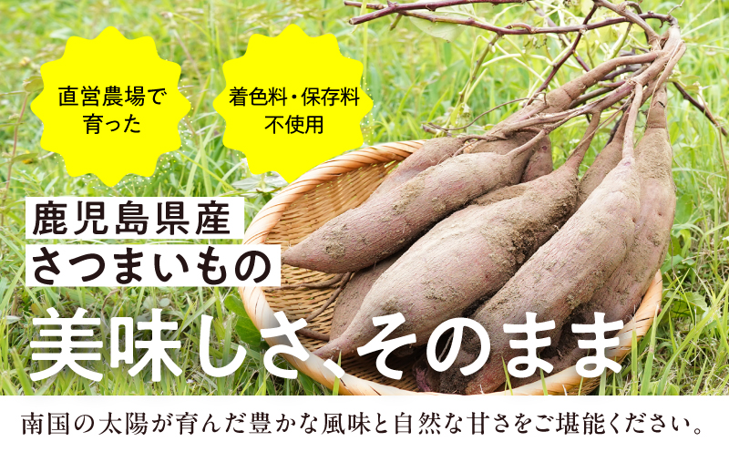 1228-3 フェスティバロ お楽しみセット（唐芋レアケーキ・ラブリー/東京ラブリーモンブラン、スイートポテト・黄金/紫）　KN023-004