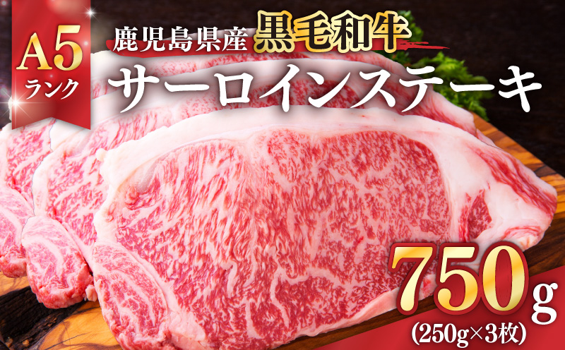 1398-1 鹿児島県産黒毛和牛A5ランクサーロインステーキ 750g（250g×3枚）　KN041-001-02