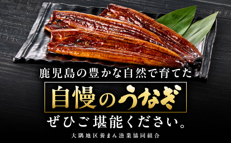 1633 鹿児島県大隅産うなぎ蒲焼5尾（750g）　KN007-005-01