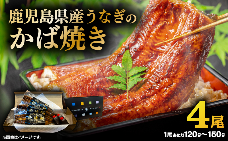鹿児島県産うなぎのかば焼き 4尾　KN174-001-04