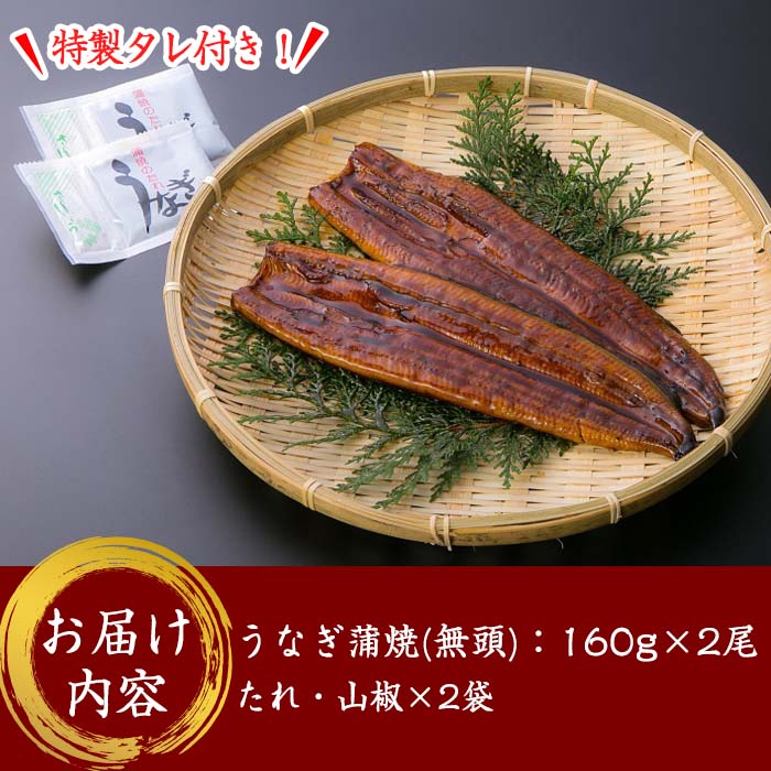 鹿児島県大隅産うなぎ蒲焼2尾（320ｇ）