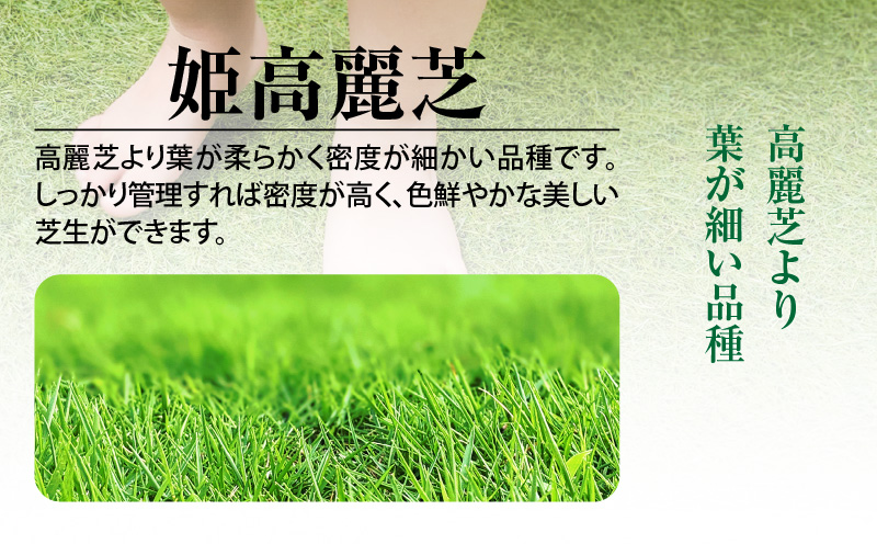 【10月から5月に発送】姫高麗芝（2平方メートル）　KN177-004-01