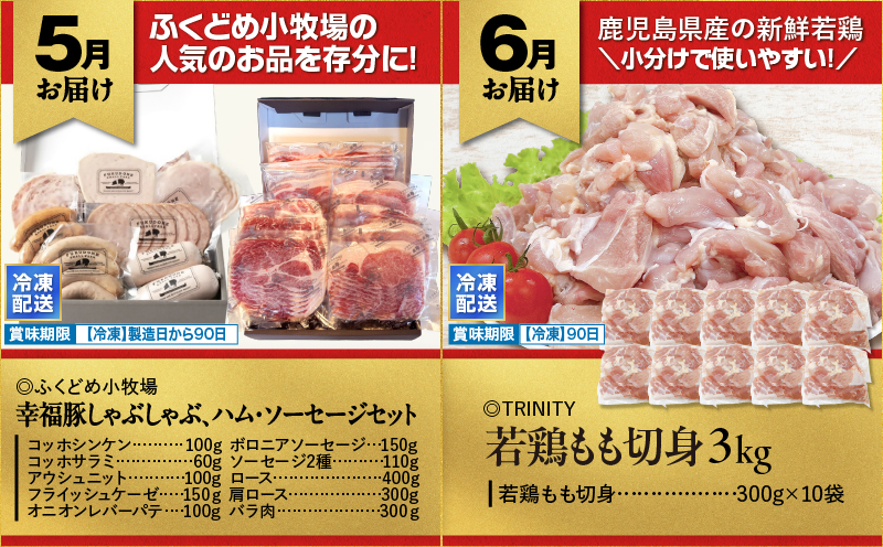 縲仙ィ12蝗槭鷹ケソ螻九き繝ウ繝代メ繝ュ繧ヲ萓ソ縲KN000-T08