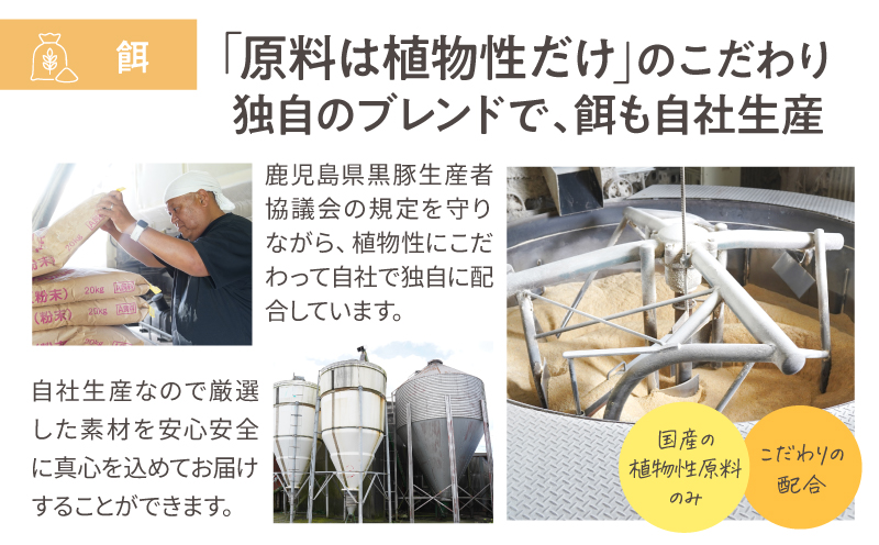鹿児島県産黒豚しゃぶしゃぶセット しゃぶだし付 （黒豚バラ 250g×2P） 500g　KN054-008-03
