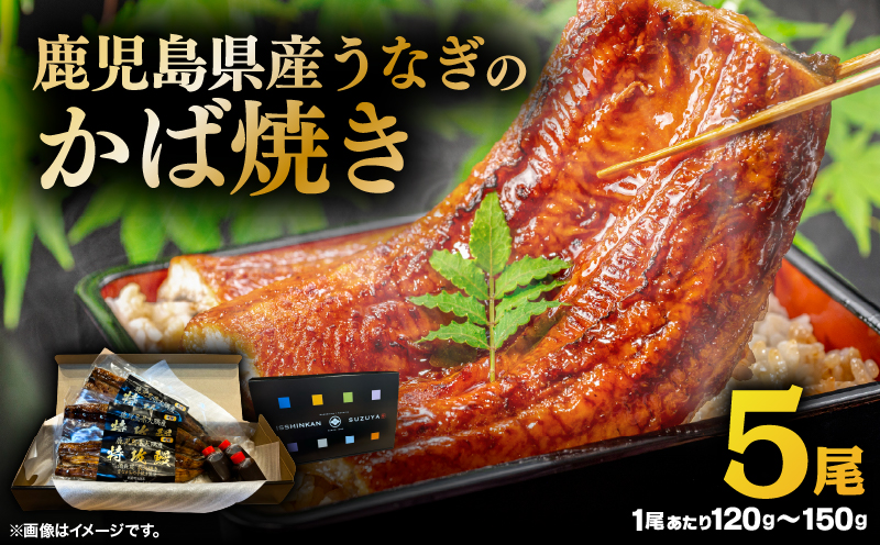 鹿児島県産うなぎのかば焼き 5尾　KN174-001-05