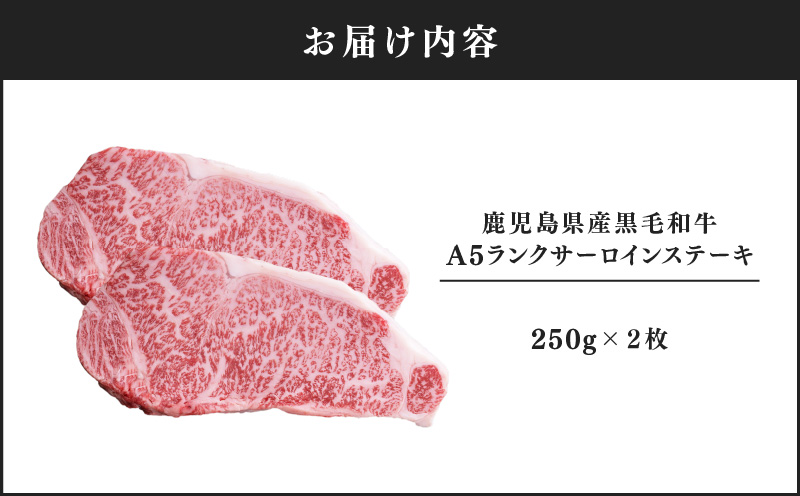 1397-1 鹿児島県産黒毛和牛A5ランクサーロインステーキ 500g（250g×2枚）　KN041-001-01