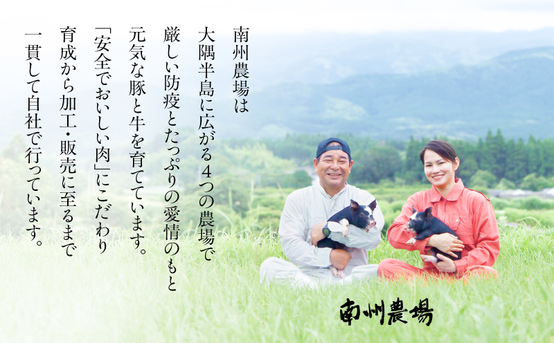 1395 åå·èŸ²å Ž é»è±ããŒã¹å³å挬ãè©°åãïŒNNF-4554ïŒãKN005-003