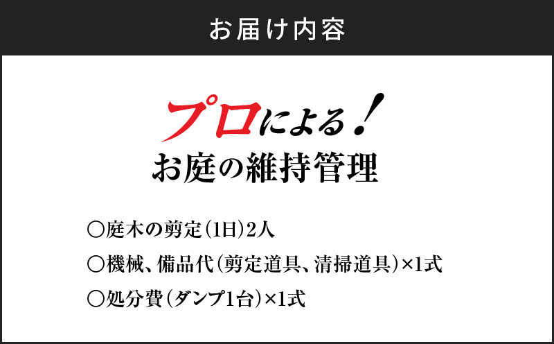 繝励Ο縺ォ繧医kシ√♀蠎ュ縺ョ邯ュ謖∫ョ。逅縲KN177-001