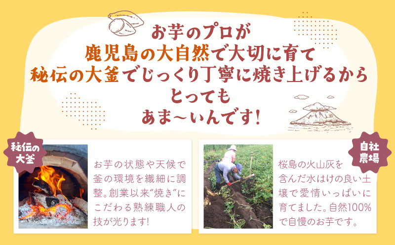 おいもや あま～い冷凍焼き芋 食べ比べセット（計800g）　KN091-005