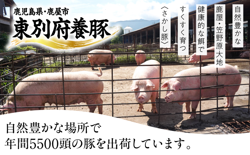 2165縲仙ィ3蝗槫ョ壽悄萓ソ/蛛カ謨ー譛磯埼√鷹ケソ螻狗肇 縺輔°縺苓ア 繝舌Λ 繧ケ繝ゥ繧、繧ケ 1.4kg縲KN079-T02縲先怏髯蝉シ夂、セ譚ア蛻・蠎憺、願ア壹