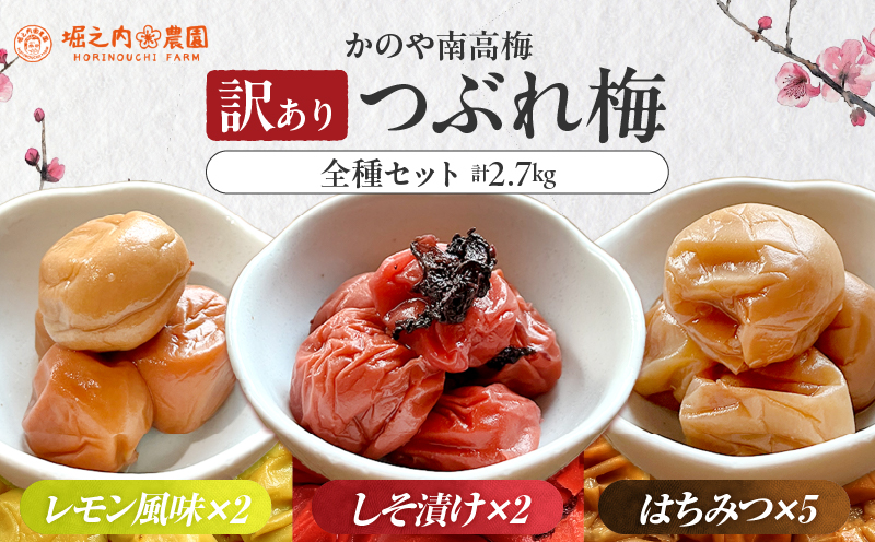2588 ＜訳あり＞ つぶれ梅 梅干し かのや南高梅 食べ比べ F （はちみつ梅×5、しそ梅×2、レモン風味×2） 計9袋 ×300g （計2.7kg）　KN033-007-03