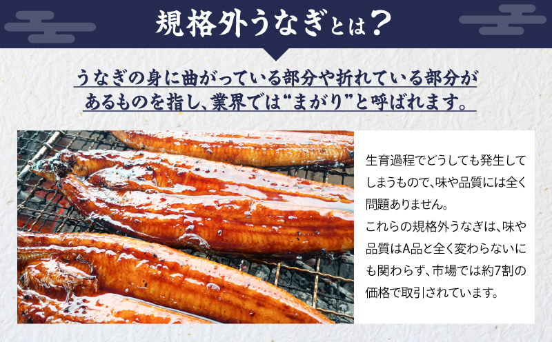 クラウドファンディングで応援！鰻の蒲焼 170g×1尾　KN026-020