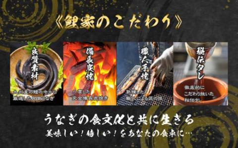 大人気！鯉家の極上蒲焼「大トロうなぎ蒲焼（２尾）」270g【九州産・手焼き備長炭】