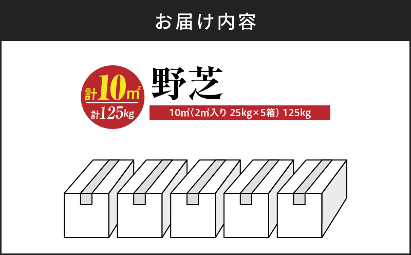 ã10æãã5æã«çºéãéèïŒ10å¹³æ¹ã¡ãŒãã«ïŒãKN177-005-02