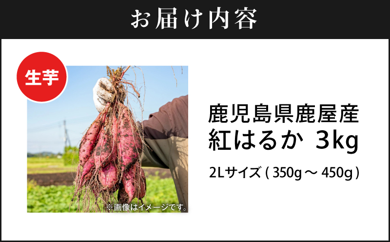鹿児島県鹿屋産 紅はるか 生芋 2Lサイズ 3kg　KN021-043-01