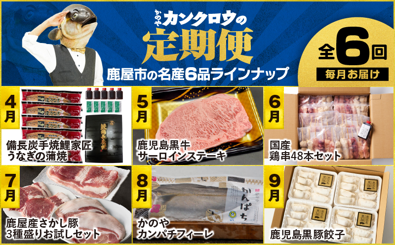 縲仙ィ6蝗槭鷹ケソ螻九き繝ウ繧ッ繝ュ繧ヲ萓ソ縲KN000-T09