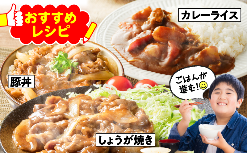 鹿児島県産豚肉切落し 6kg セット　KN165-008-02