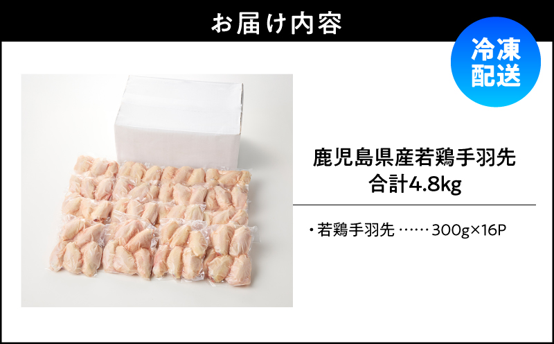 鹿児島県産若鶏手羽先 4.8kg セット　KN165-006-01