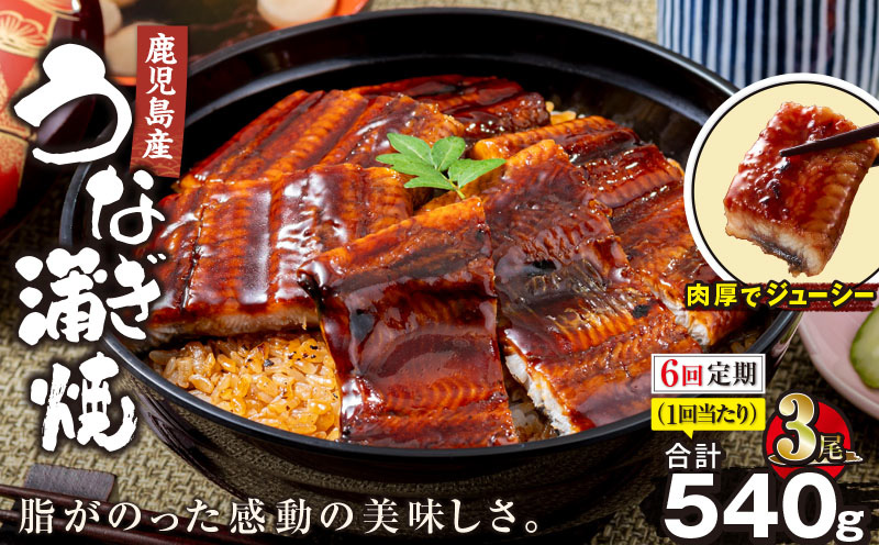 【全6回定期便】鹿児島産うなぎ蒲焼 180g×3尾 清らかな地下水育ち！　KN021-T38