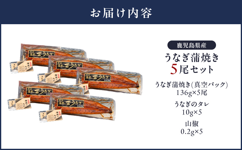 1651-1 鮖ソ蜈仙ウカ逵檎肇 縺縺ェ縺手調辟シ縺 5蟆セ繧サ繝繝医KN058-002-05