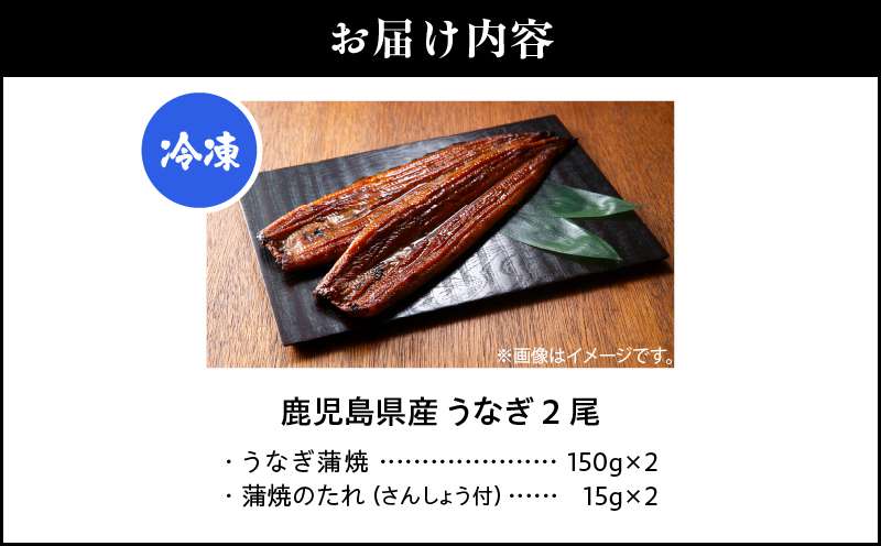 鹿å
å³¶çç£ããªã 2å°ŸãKN180-002