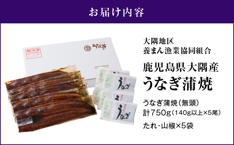 1633 鹿児島県大隅産うなぎ蒲焼5尾（750g）　KN007-005-01