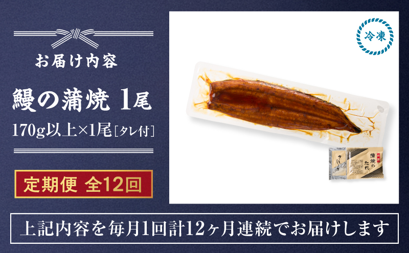 クラウドファンディングで応援！【全12回定期便】鰻の蒲焼 1尾（170g×1）　KN026-T05
